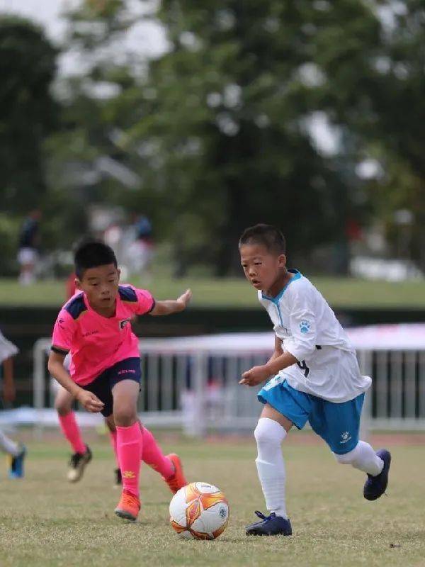 江苏省足协青训俱乐部联赛冠军赛在扬州开赛“太阳集团tyc”(图6)
江苏省足协青训俱乐部联赛冠军赛在扬州开赛“太阳集团tyc”(图6)