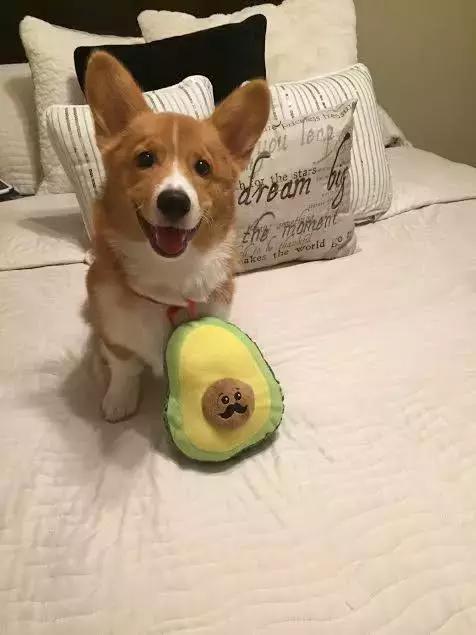 太阳集团tyc-《QQ飞车》粉红雨伞送极品 永久S剃刀系列带回家(图3) 太阳成集团tyc