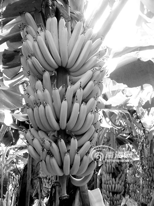 魔兽7.2使用光影祭坛强化你的神器怎么做 为什么点了没反应_太阳集团tyc(图1) 太阳集团tyc