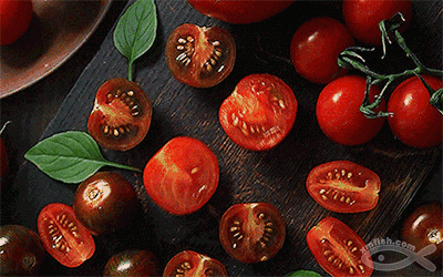 国际友谊: 乌克兰U21 VS 以色列U21再现小球 比分0:1【太阳成集团tyc】(图1) 太阳成官网