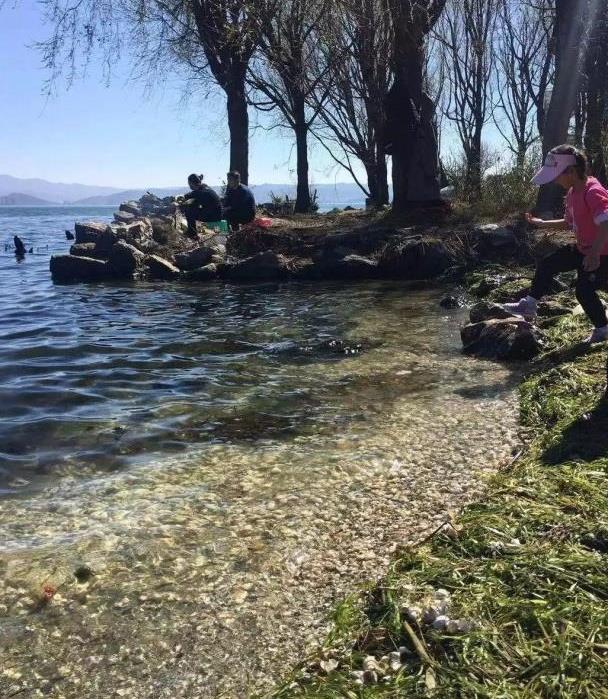 太阳成官网|剑网3老五解语boss怎么打 打不过解语boss怎么办(图2) 太阳成集团tyc