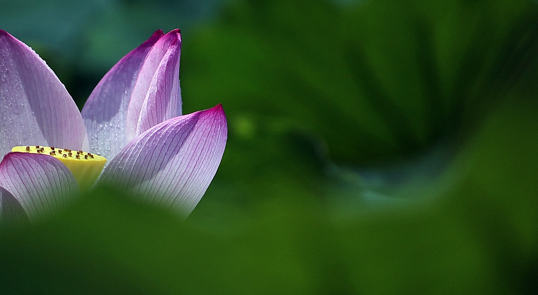 太阳集团tyc